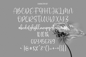 Sallutos Signature Script Font