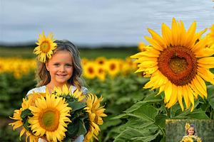 Sunflower Photo Overlays Backdrops