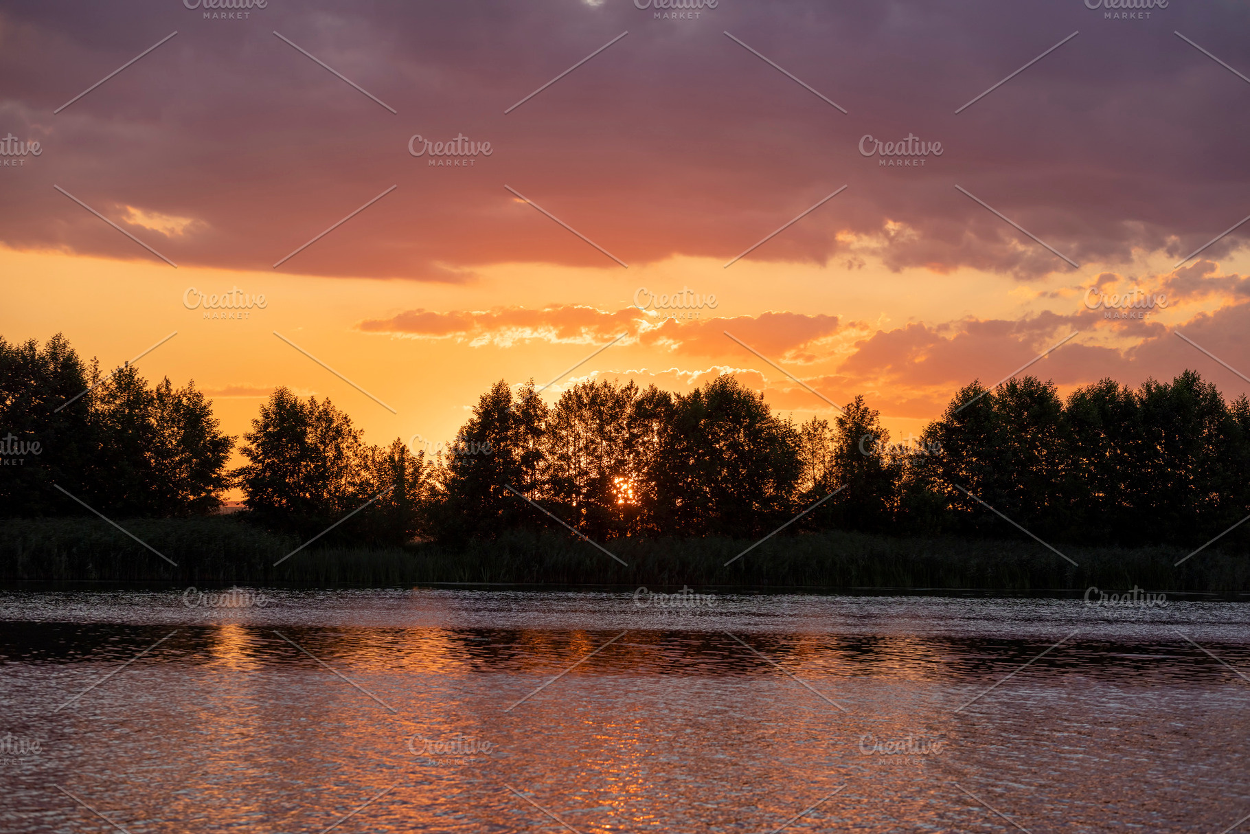 sunset on the lake with silhouetted trees, colorful summer sunset on the lake s, a Photo by rsoollAI