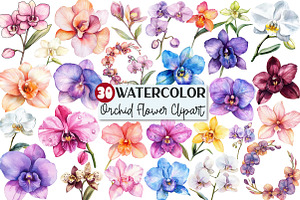 Watercolor Orchid Clipart, an Illustration by Rose Art