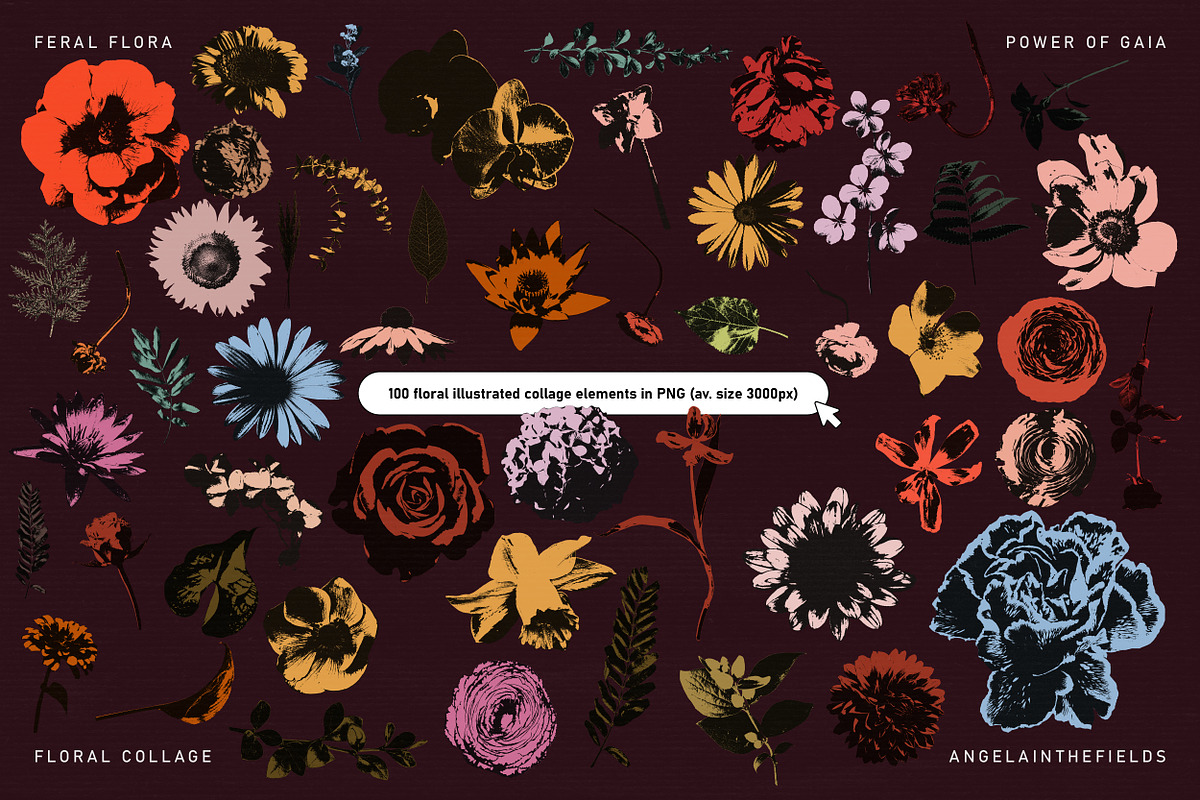 FERAL FLORA Collage Elements, an Object Graphic by angelainthefields (Photo 8 of 12)