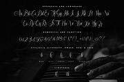 Santhana Calligraphy, a Script Font by Rochart (Thumbnail 2 of 12)