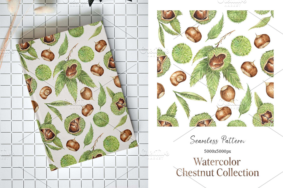 Watercolor Chestnut Set, a Food Illustration by MayaNavits (Photo 5 of 7)