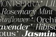 Bigsmile Serif Family, a Serif Font by Violet Natural (Thumbnail 13 of 13)