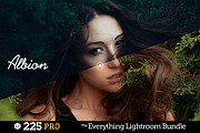 225 Lightroom Presets Bundle, an Action Add-On by Presetrain Co. (Thumbnail 3 of 13)