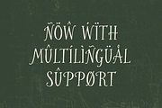 Westfalia, a Serif Font by Bruised Goods (Thumbnail 11 of 13)