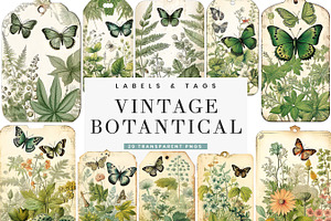 Vintage Botanical Digital Paper, a Background Graphic by BusyDaydesign