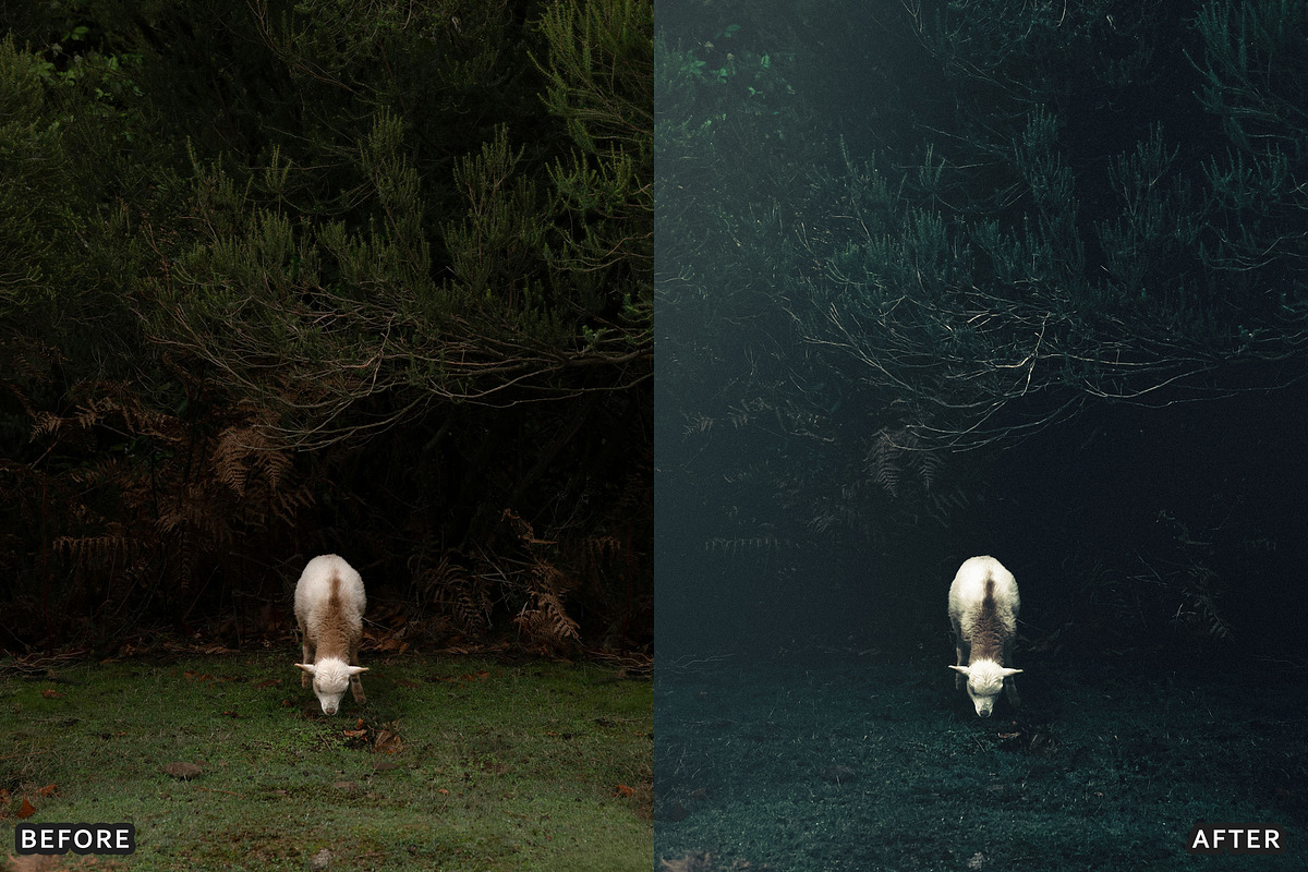 Dark Green Lightroom & Photoshop Photo Presets