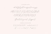 Central Garden Calligraphy Font, a Script Font by Seagulls Creative (Thumbnail 9 of 10)