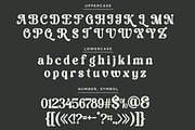 Vilmely Story - Retro Elegant Font, a Serif Font by Font Liner (Thumbnail 11 of 13)