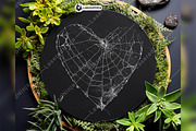 Heart-Shaped Spider Web Gothic Love, a Background Graphic by LaseredNinja (Thumbnail 2 of 7)