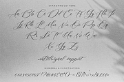 Multiverse – Luxurious Script Font, a Script Font by RedyStudio (Thumbnail 12 of 15)
