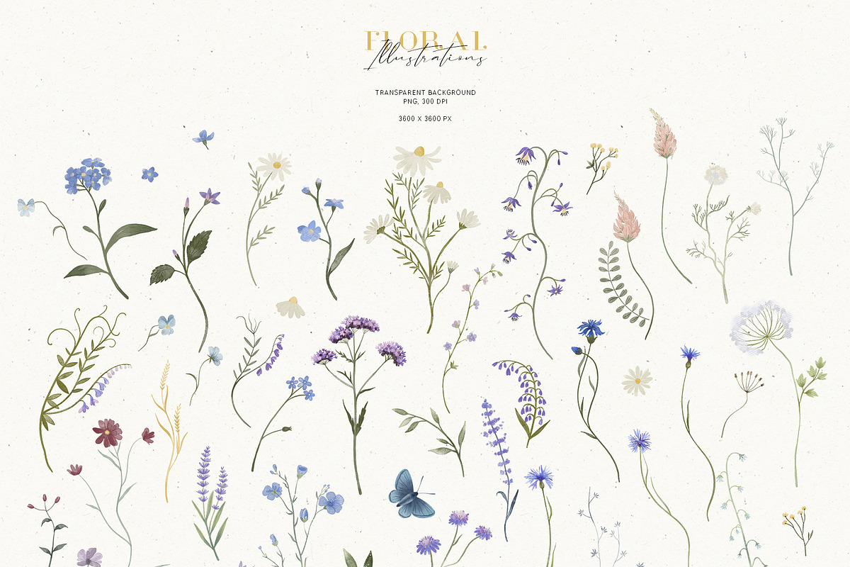 Wildflowers. Watercolor collection, an Illustration by annartdreams (Photo 7 of 14)