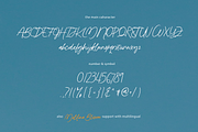 Mollina Blossom Handwritten, a Handwritten Font by Pinakiaa Studios (Thumbnail 6 of 11)