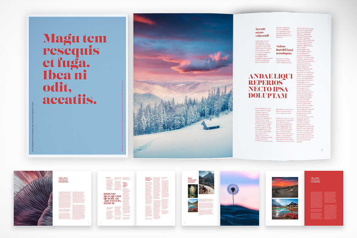 Colorful Editorial Design, a Print Template by McLittle Stock (Photo 1 of 4)