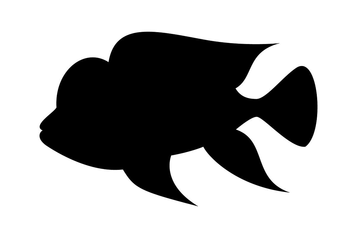 Abstract Fish Logo, a Branding & Logo Template by Rhealea_Design