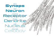 Clonoid, a Sans Serif Font by Dharma Type (Thumbnail 9 of 10)