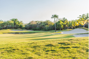 Scenic golf course with palm trees, a Sports & Recreation Photo by Elizaveta Galitskaya