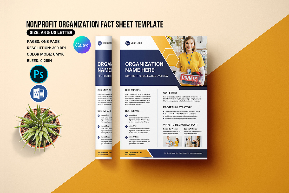 Organization Fact Sheet, Psd & Word, a Flyer Template by retrographix (Photo 1 of 5)