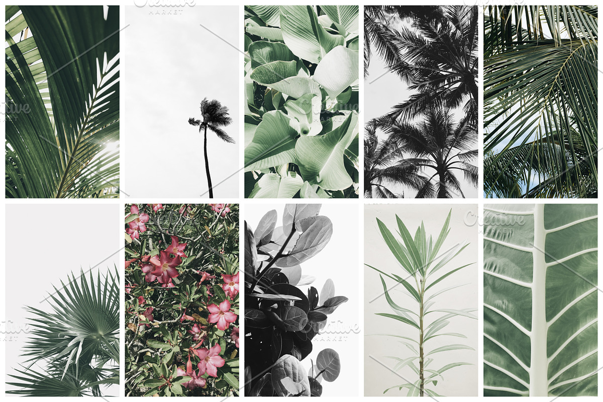 98% OFF | Tropical Bundle | 170 IN 1, a Photo by Floral Deco (Photo 8 of 14)