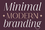 Imperial Aureas a Minimal Serif, a Serif Font by Lettertype Studio (Thumbnail 5 of 16)