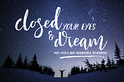 Seilotta Brush Script, a Script Font by Olexstudio (Thumbnail 7 of 7)