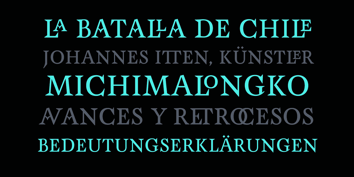 CF Santiago, a Serif Font by Contra (Photo 8 of 11)