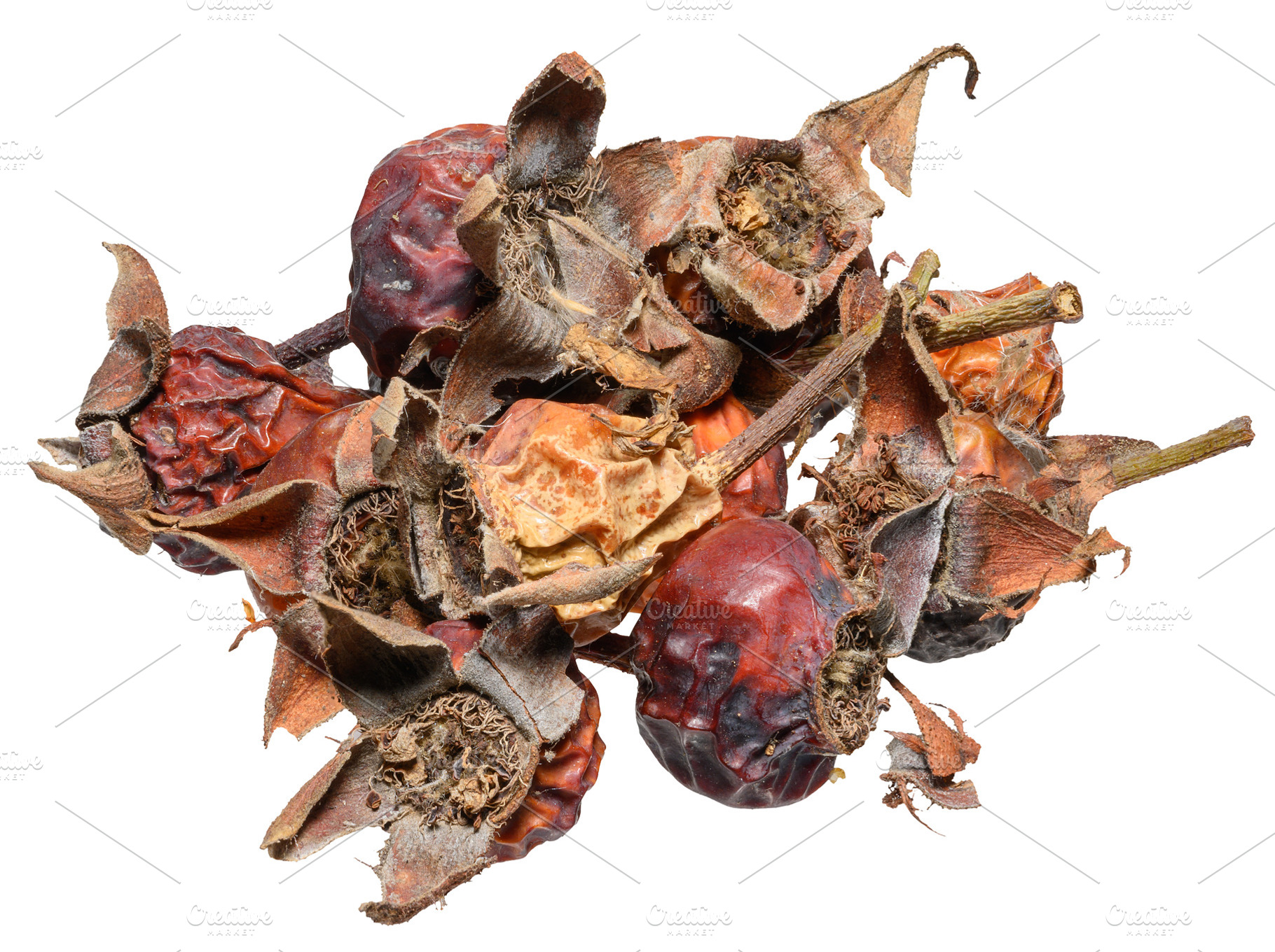 A bunch of dried rose hips on an isolated background, a Food & Drink Photo by ndanko