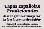 DT Augustina Slab 1 Subfamily, a Slab Serif Font by Deveze Type Foundry (Thumbnail 14 of 31)