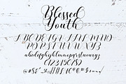 Blessed Youth Script, a Script Font by Artic Type (Thumbnail 5 of 9)