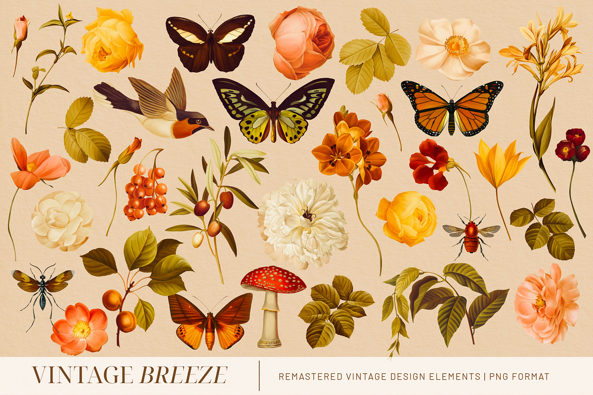 Vintage Breeze Floral Collage Art, a Decorative Illustration by Eclectic Anthology (Photo 8 of 10)