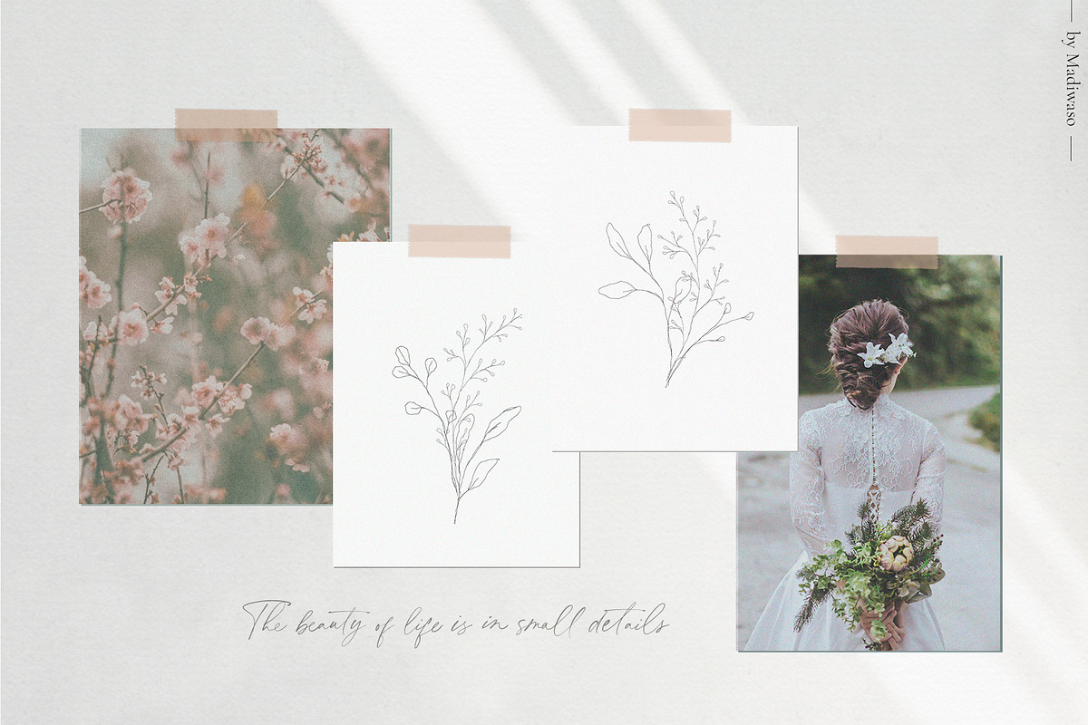 Botanical leaves - sketched florals, a Decorative Illustration by Madiwaso (Photo 2 of 14)