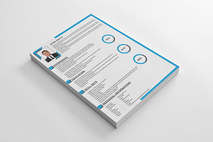 Clean Corporate Resume