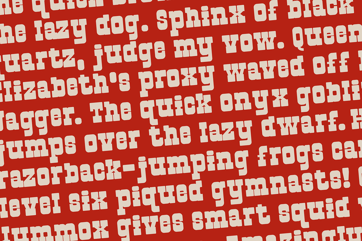 Second Rodeo, a Slab Serif Font by Loudoun Design Co. (Photo 5 of 6)
