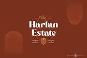 Darker Sans Serif + Extras, a Sans Serif Font by 1871 Project (Thumbnail 12 of 12)