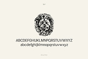 Minval Flare | Modern Flare Font, a Serif Font by Tiga Type (Thumbnail 3 of 14)