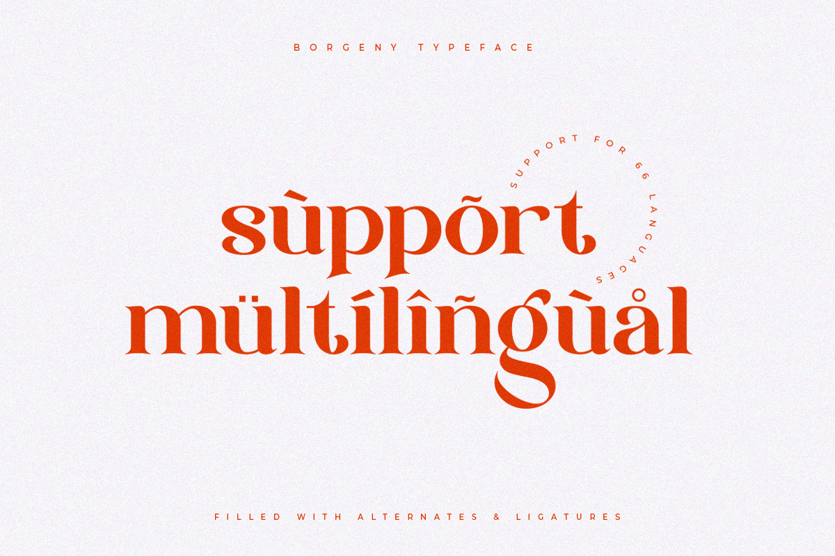 Borgeny | Modern Classy Serif Font, a Serif Font by Pentagonistudio (Photo 11 of 11)