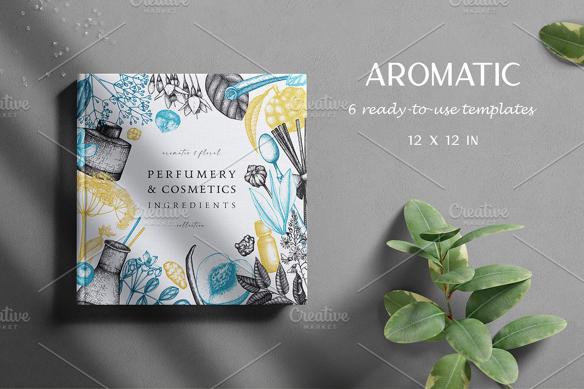 Aromatic Plants & Flowers Sketches, a Healthcare Illustration by Yevheniia (Photo 4 of 9)