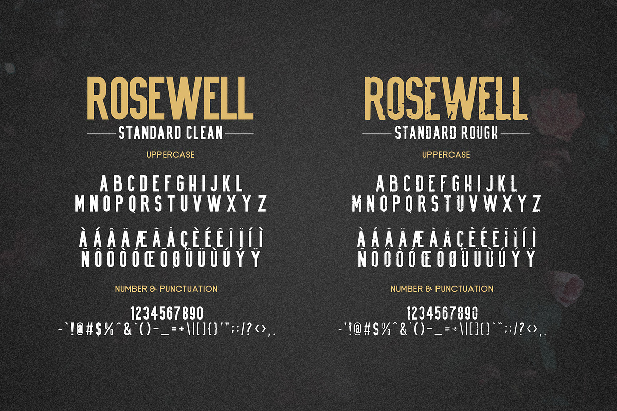 Rosewell Font Collection, a Script Font by Ardyanatypes (Photo 9 of 11)