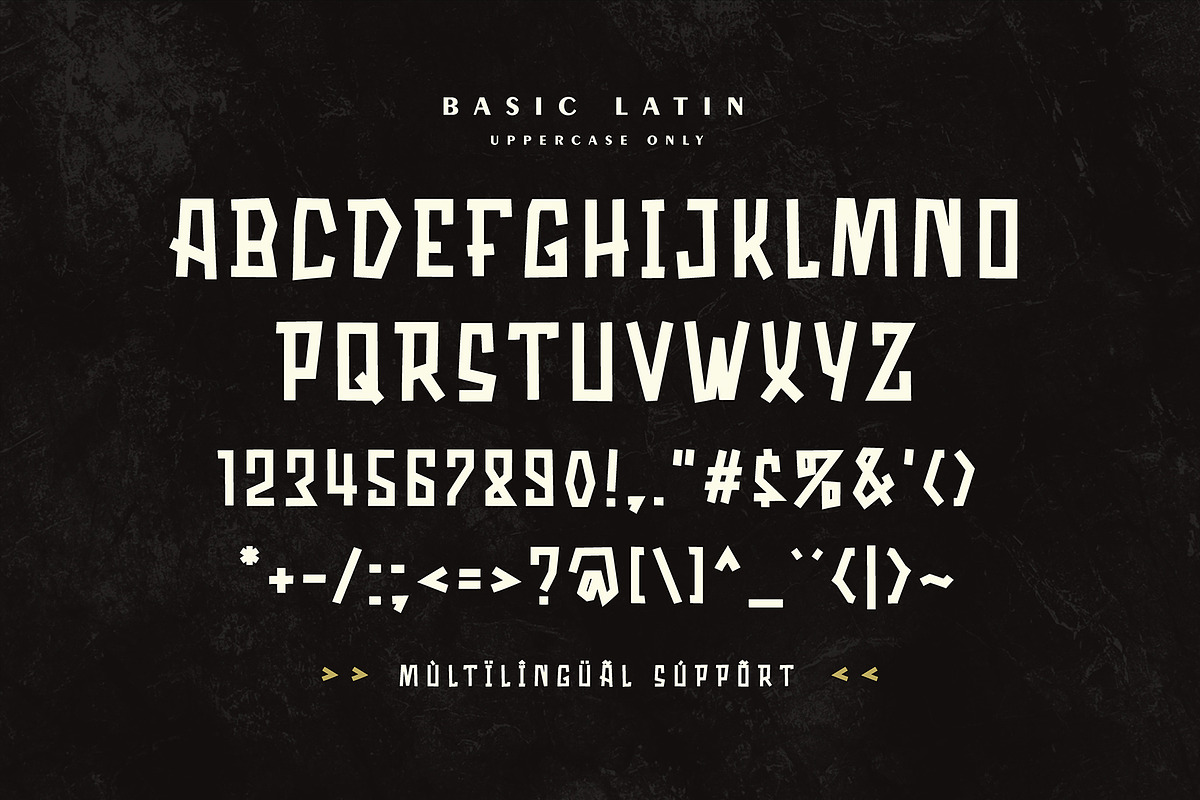 Anchorious - Modern Display Font, a Sans Serif Font by Storiatype (Photo 3 of 7)