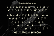 Castina Editorial Font Duo, a Script Font by Madjack.font (Thumbnail 10 of 10)