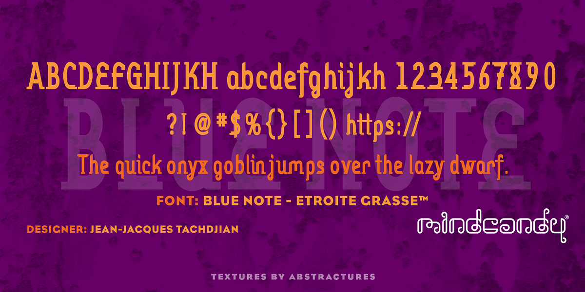Blue Note™, a Serif Font by MINDCANDY (Photo 5 of 8)