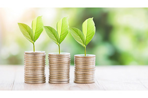 Growing Investments Concept with, a Business Photo by Lermont51
