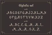 The Century Dynasty, a Serif Font by Magicpics (Thumbnail 3 of 13)