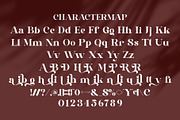 Ribery || Unique Serif Font, a Serif Font by Ermedia Studio (Thumbnail 8 of 10)