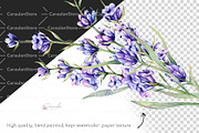 Lavender Watercolor Collection, an Object Illustration by CaraulanStore (Thumbnail 5 of 9)