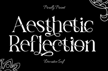 Aesthetic Reflection Elegant Font