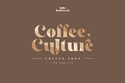 Qillo - Contrast Bold Serif, a Serif Font by Type and Co. (Thumbnail 4 of 20)