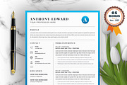Resume/CV Bundle | 200+ for $29, a Resume Template by ResumeInventor (Thumbnail 206 of 207)