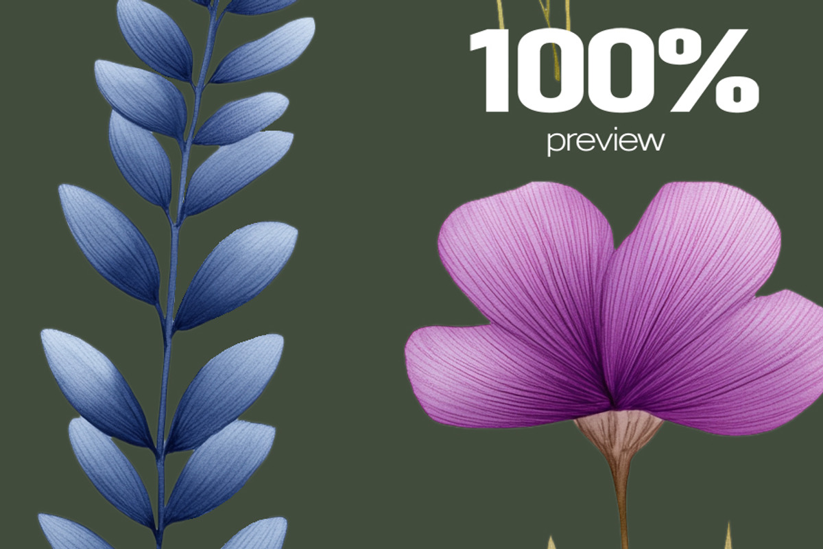 Watercolor Flowers cliparts, an Object Illustration by BazziBa♥ (Photo 5 of 5)